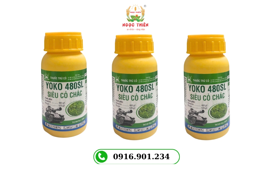 Nhóm Cỏ Chác Lác: Đặc Điểm, Tác Hại & Biện Pháp Phòng Trừ Hiệu Quả