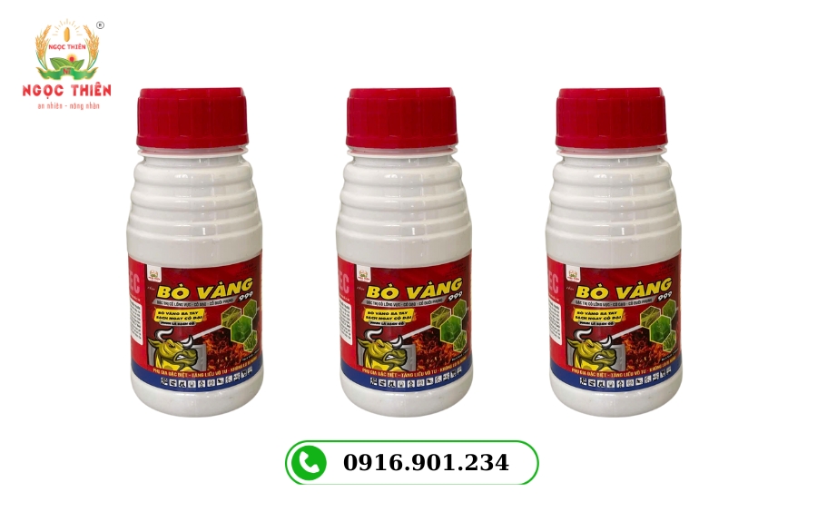 Bo-vang-Thuoc-tru-Co