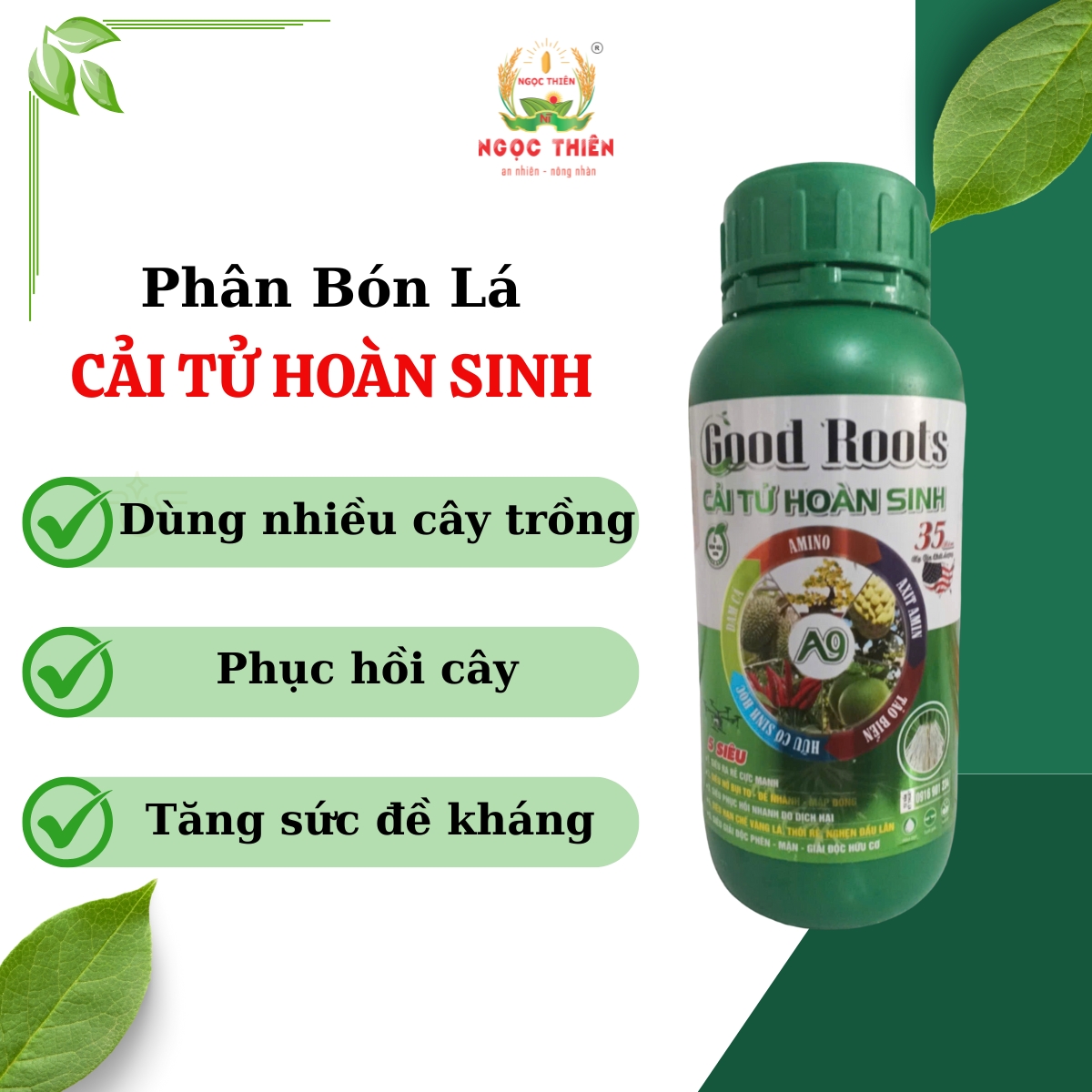 Phan-Bon-La-Cai-Tu-Hoan-Sinh Cai-Tu-Hoan-Sinh-Phan-Bon-La