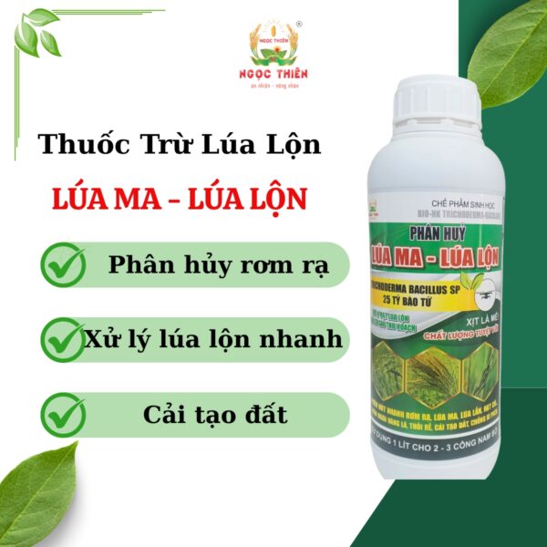 Lua Loo THUỐC TRỪ LÚA LỘN LÚA MA - LÚA LỘN - Nông Nghiệp Ngọc Thiên