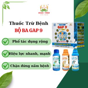 TRỪ BỆNH BỘ BA GAP 9