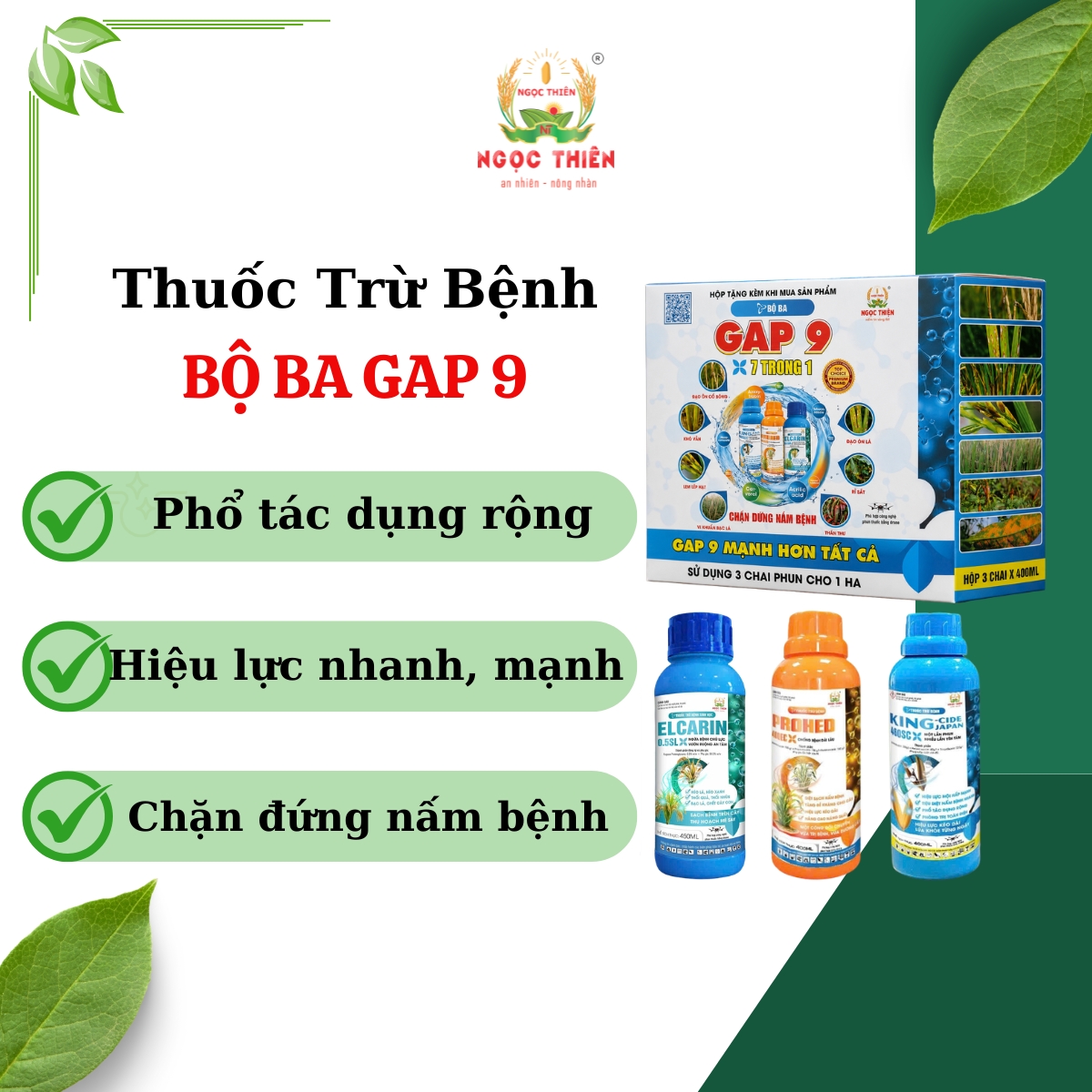 Tru-Benh-Bo-Ba-GAP-9 TRỪ BỆNH BỘ BA GAP 9