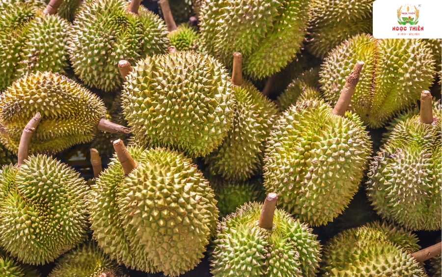 01NT-Extra-Duong-Trai