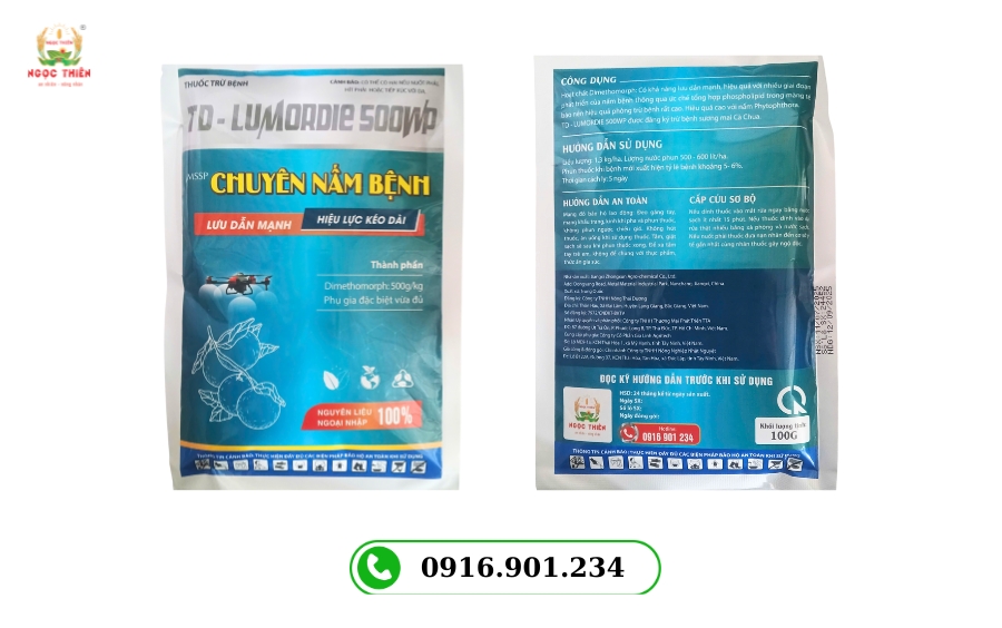 Chuyen-Nam-Benh-500WP
