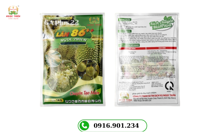 Lan-86++
