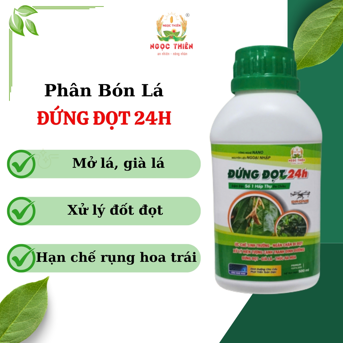 Phan-Bon-La-Dung-Dot Dung-Dot-24h-Phan-Bon-La