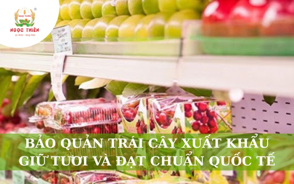 Bảo Quản Trái Cây Xuất Khẩu: Giữ Tươi Và Đạt Chuẩn