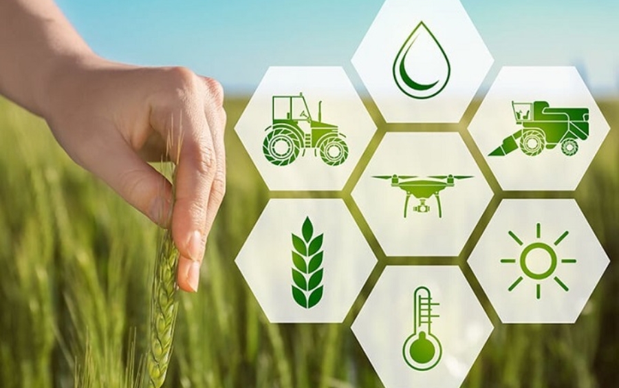 Xu Hướng Nông Nghiệp Bền Vững 2026 | Cơ Hội Cho Đại Lý