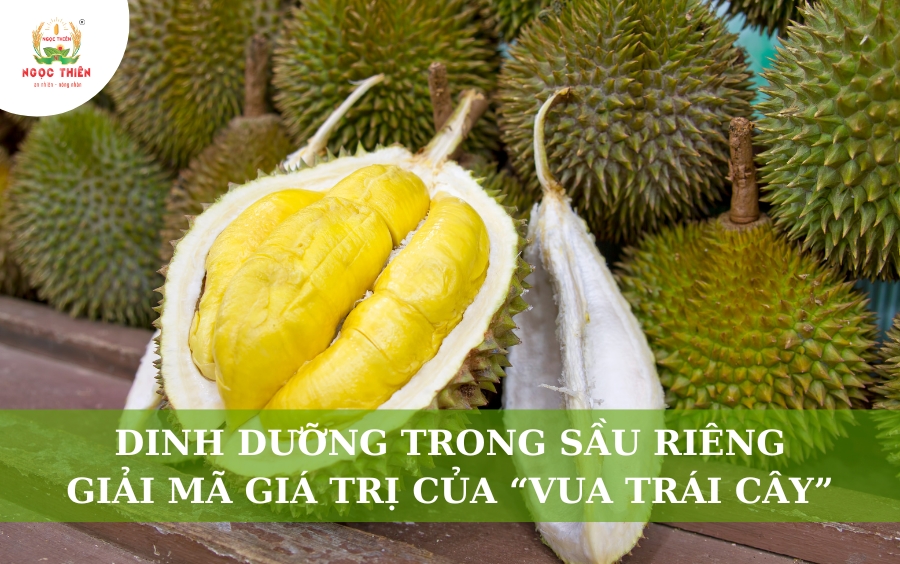 Dinh dưỡng trong sầu riêng: Giải mã giá trị của "Vua trái cây"