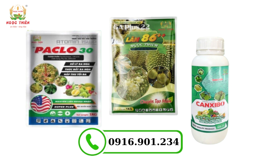 Xử Lý Ra Hoa Thanh Long: Nhanh Chóng, Đồng Loạt
