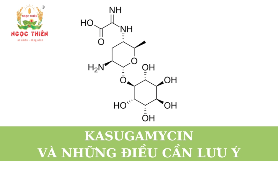 Kasugamycin Và Những Điều Cần Lưu Ý