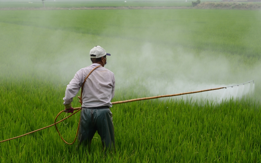 Triazole – Nhóm Hoạt Chất Trừ Nấm Phổ Rộng Hàng Đầu