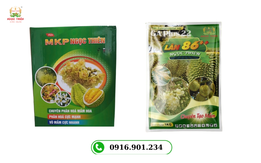 Giải pháp ra hoa đậu trái cho cây trồng hiệu quả