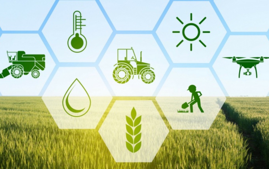 Xu Hướng Nông Nghiệp Bền Vững 2026 | Cơ Hội Cho Đại Lý