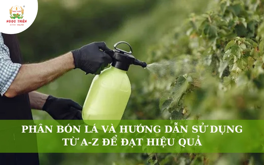 Phân Bón Lá: Hướng Dẫn Sử Dụng A-Z Để Tăng Năng Suất Vượt Trội