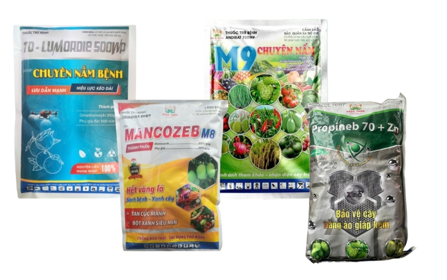 Vàng Lá Cây Bơ: Nguyên Nhân Và Cách Xử Lý