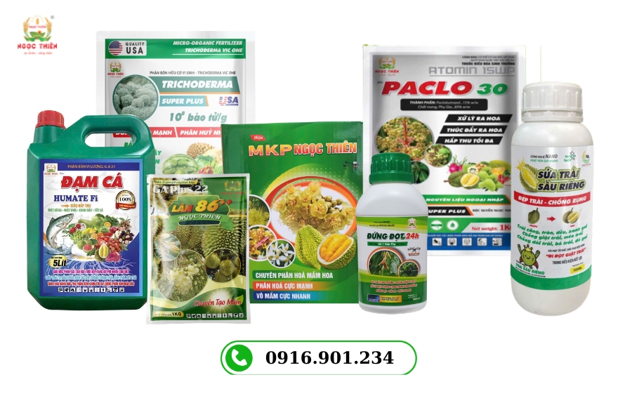 Phân Bón Lá: Hướng Dẫn Sử Dụng A-Z Để Tăng Năng Suất Vượt Trội