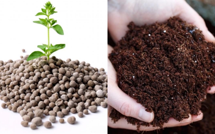 Tồn Dư Cadimi: Nguyên Nhân Và Giải Pháp Khắc Phục