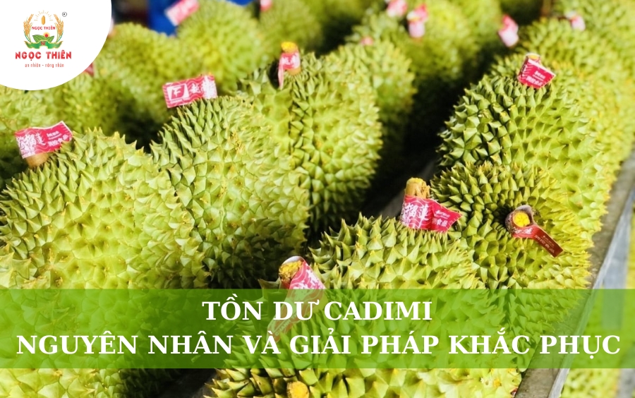Tồn Dư Cadimi: Nguyên Nhân Và Giải Pháp Khắc Phục