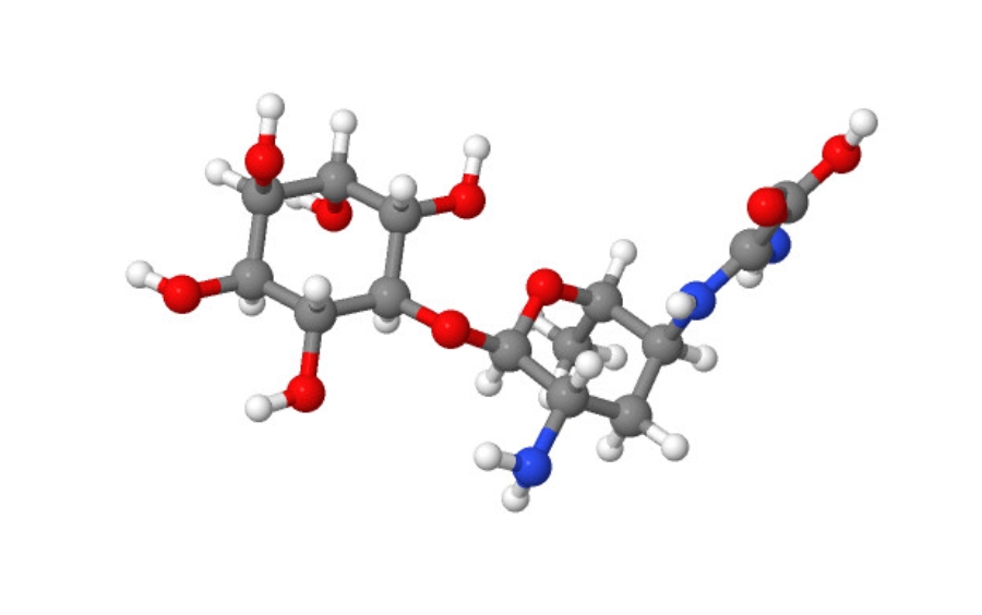 Kasugamycin Và Những Điều Cần Lưu Ý