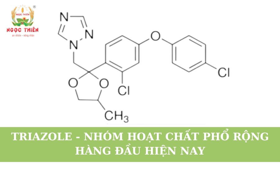 Triazole – Nhóm Hoạt Chất Trừ Nấm Phổ Rộng Hàng Đầu