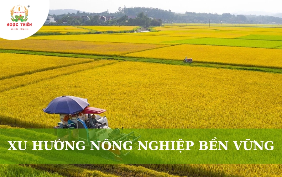 Xu Hướng Nông Nghiệp Bền Vững 2026 | Cơ Hội Cho Đại Lý