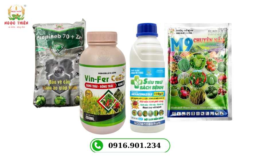 Bệnh Vàng Lá Thối Rễ: Nguyên Nhân và Biện Pháp Xử Lý Hiệu Quả