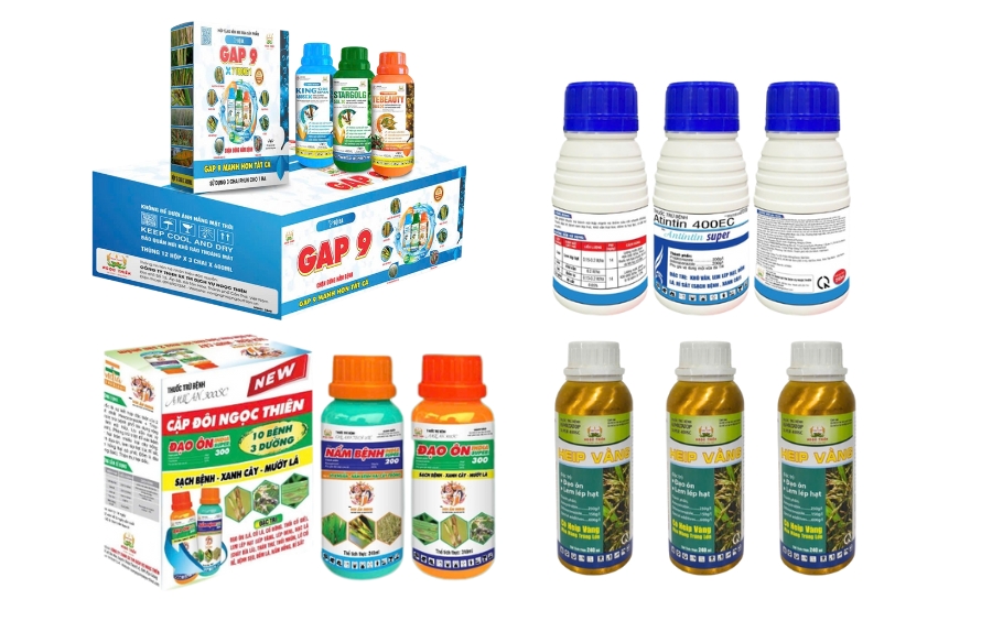Lem Lép Hạt Lúa: Giải Pháp Phòng Trừ Hữu Hiệu