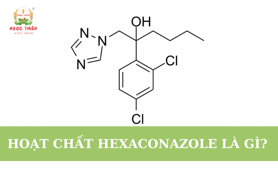Hoạt Chất Hexaconazole Là Gì?