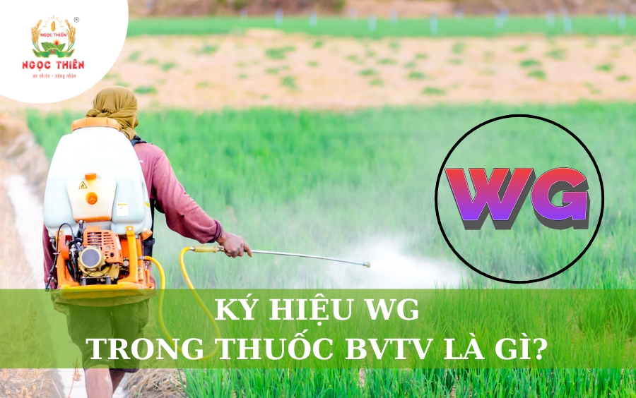 Ký Hiệu WG Trong Thuốc BVTV Là Gì?