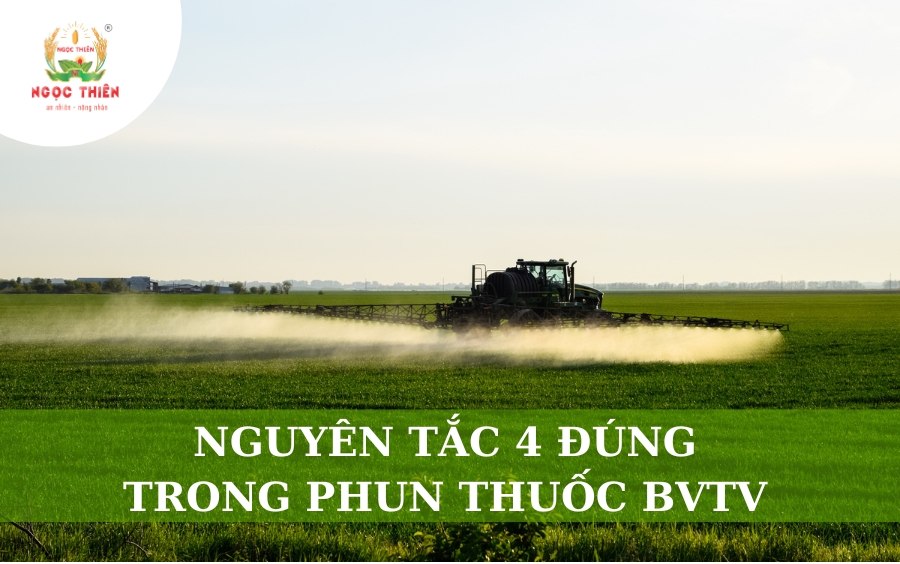 Nguyên Tắc 4 Đúng Trong Phun Thuốc BVTV