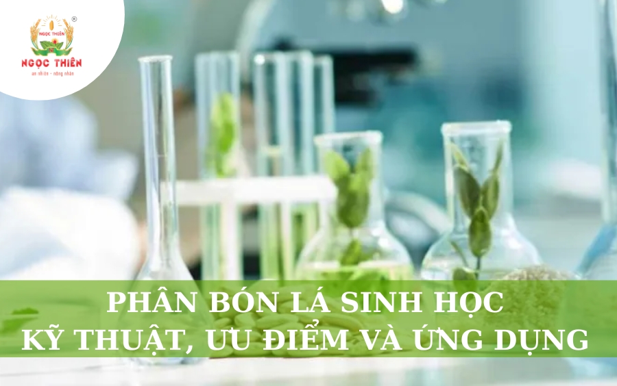 Phân Bón Lá Sinh Học: Kỹ Thuật, Ưu Điểm Và Ứng Dụng