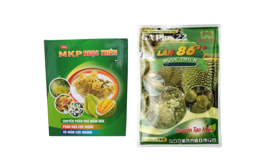 Xử Lý Ra Bông Sầu Riêng Chuẩn Kỹ Thuật Và Các Lưu Ý Vàng