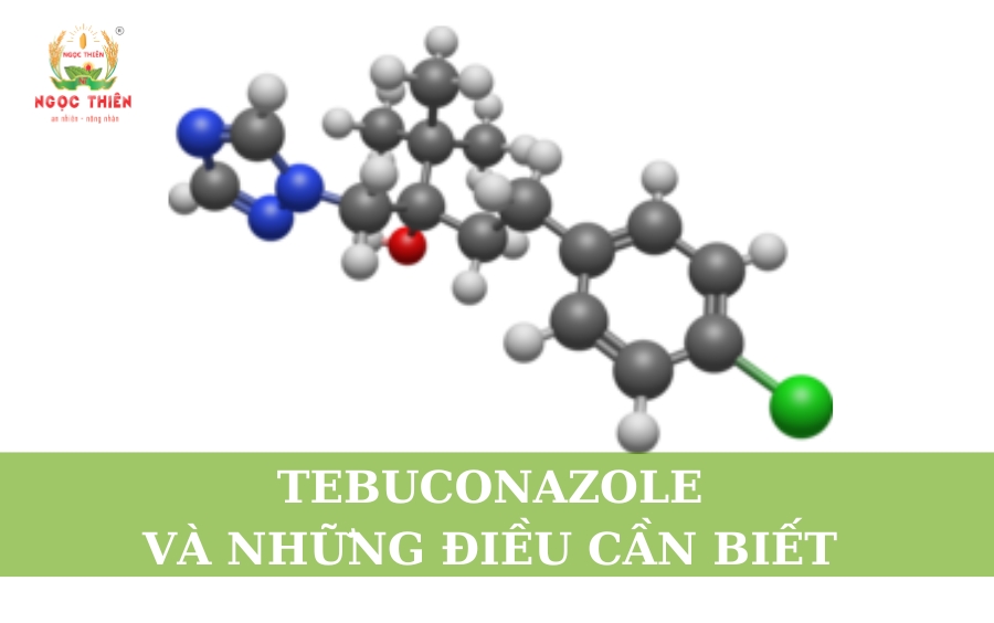 Tebuconazole Và Những Điều Cần Biết