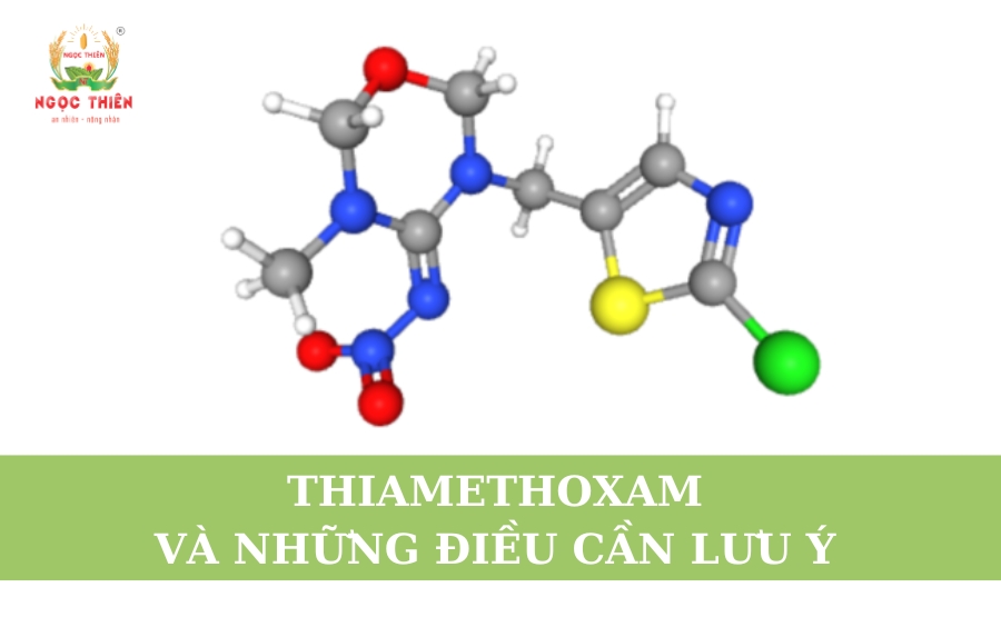 Thiamethoxam Và Những Điều Cần Lưu Ý
