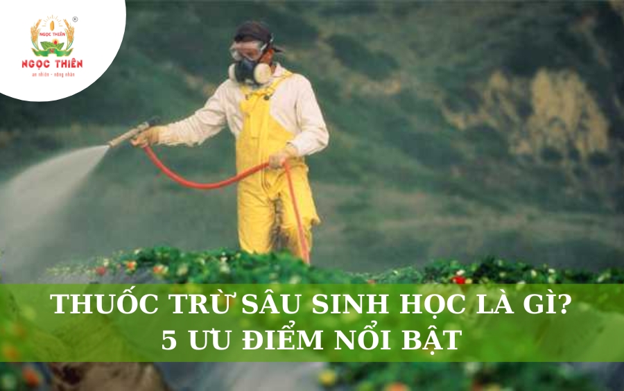 Thuốc Trừ Sâu Sinh Học Là Gì? 5 Ưu Điểm Nổi Bật