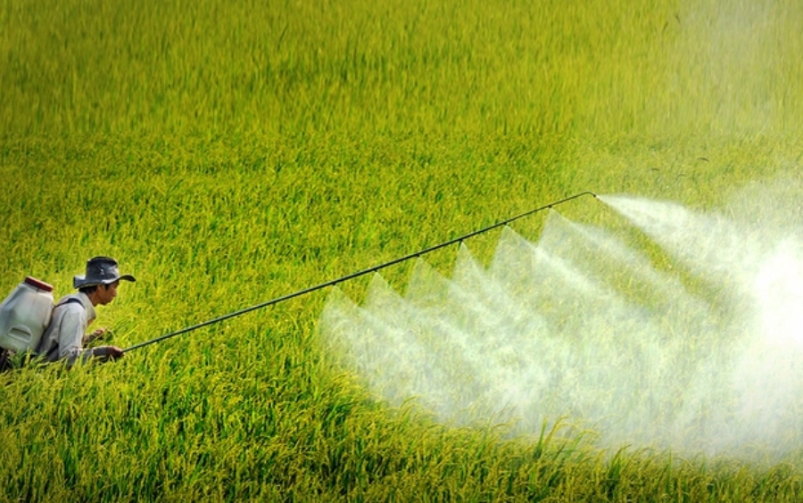 Phân Bón Lá Sinh Học: Kỹ Thuật, Ưu Điểm Và Ứng Dụng