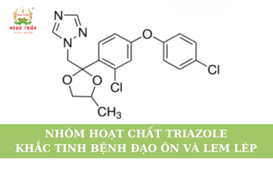 Nhóm Hoạt Chất Triazole: Khắc Tinh Bệnh Đạo Ôn Và Lem Lép