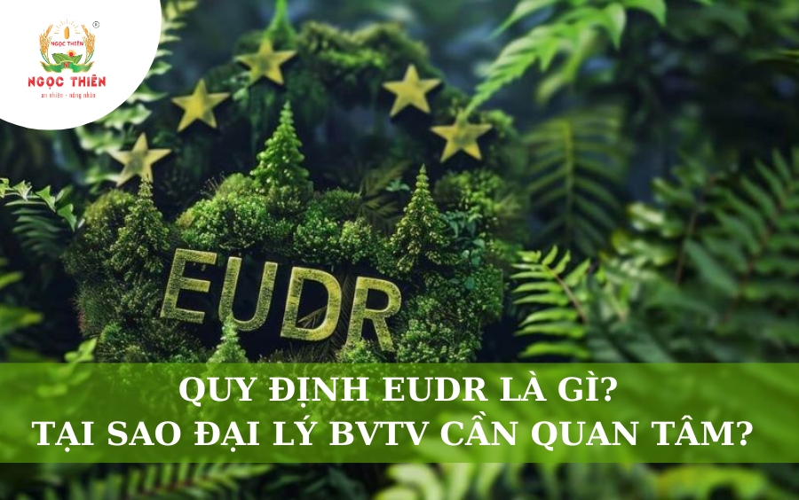 Quy Định EUDR Là Gì? Tại Sao Đại Lý BVTV Cần Quan Tâm
