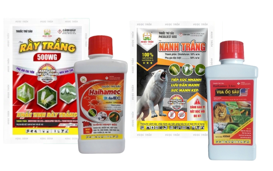 Bọ Trĩ Trên Dưa Hấu: Tác Hại Và Cách Phòng Trừ