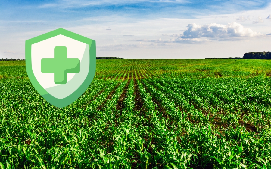 Nhóm Hoạt Chất Triazole: Khắc Tinh Bệnh Đạo Ôn Và Lem Lép