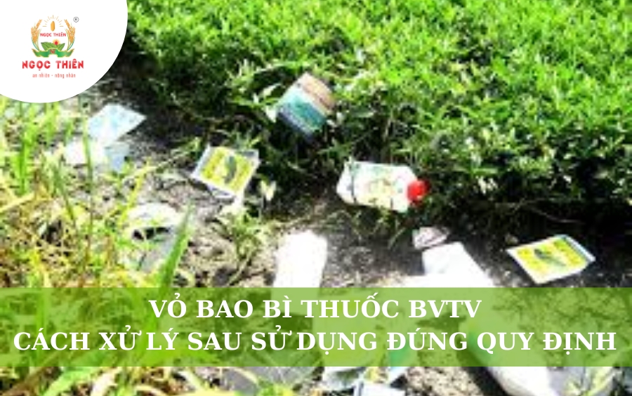 Vỏ Bao Bì Thuốc BVTV: Cách Xử Lý Sau Sử Dụng Đúng Quy Định