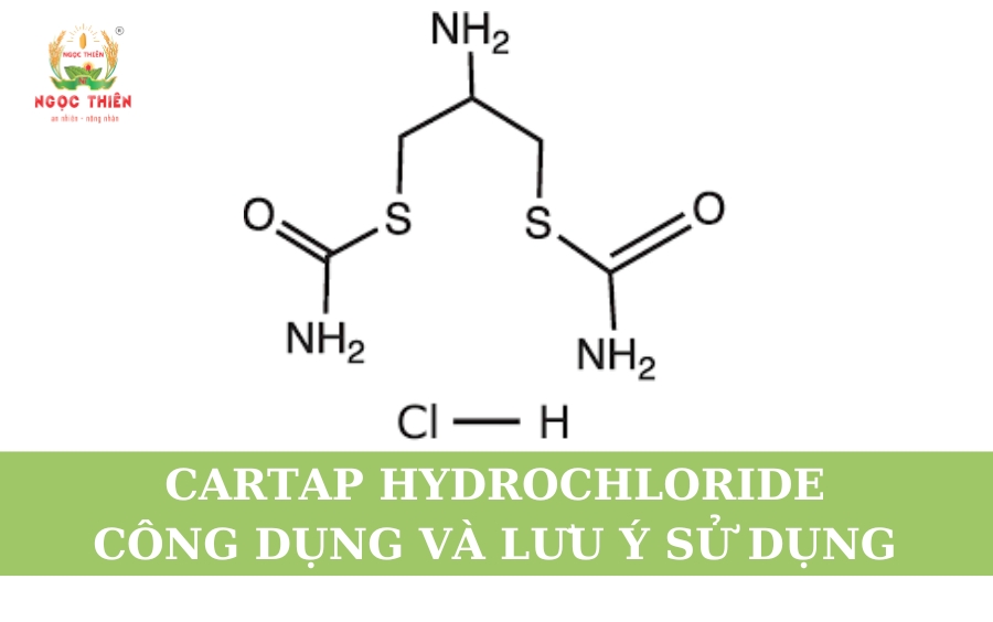 Cartap Hydrochloride: Công Dụng Và Lưu Ý Sử Dụng