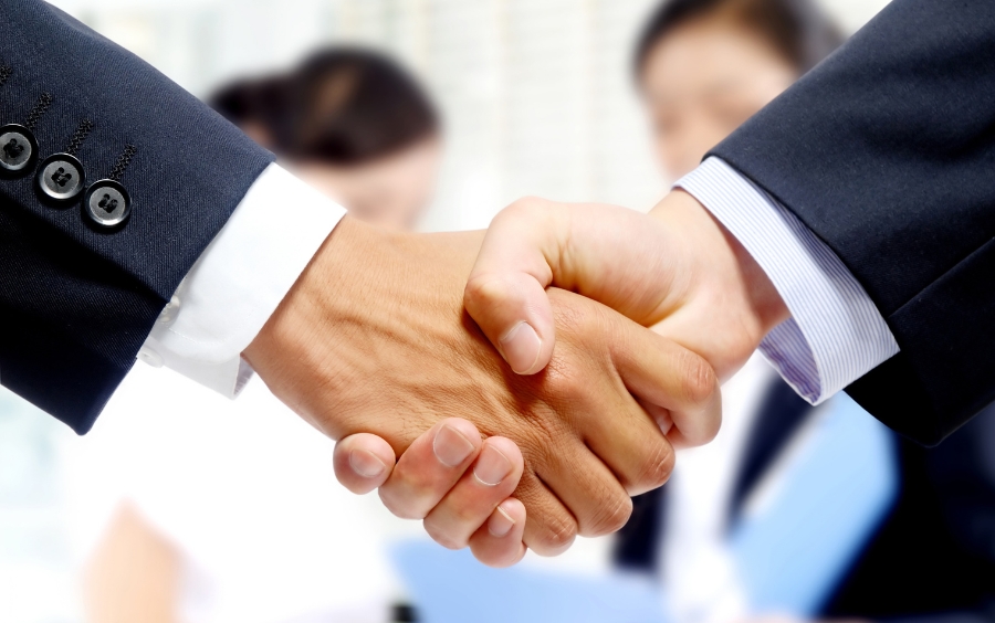 Tỉa Cành Tạo Tán: Kỹ Thuật Vàng Giúp Cây Ăn Trái Đạt Năng Suất