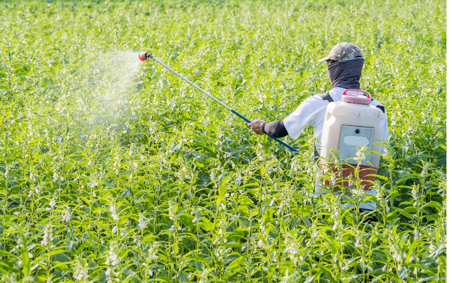 Cartap Hydrochloride: Công Dụng Và Lưu Ý Sử Dụng