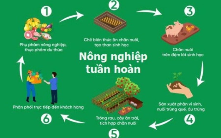Xu Hướng Nông Nghiệp Tuần Hoàn: Tương Lai Ngành Vật Tư