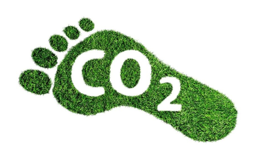 Quy Định "Dấu Chân Carbon" Tác Động Xuất Khẩu Nông Sản