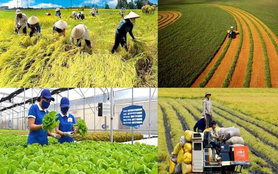 Xu Hướng Nông Nghiệp Tuần Hoàn: Tương Lai Ngành Vật Tư