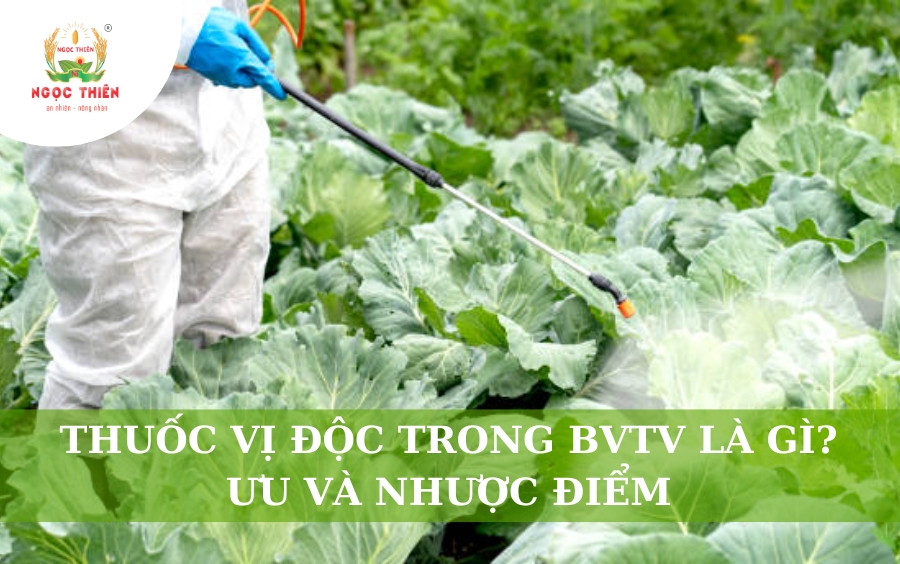Thuốc Vị Độc Trong BVTV Là Gì? Ưu Và Nhược Điểm