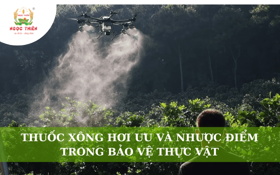 Thuốc Xông Hơi: Ưu Và Nhược Điểm Trong Bảo Vệ Thực Vật